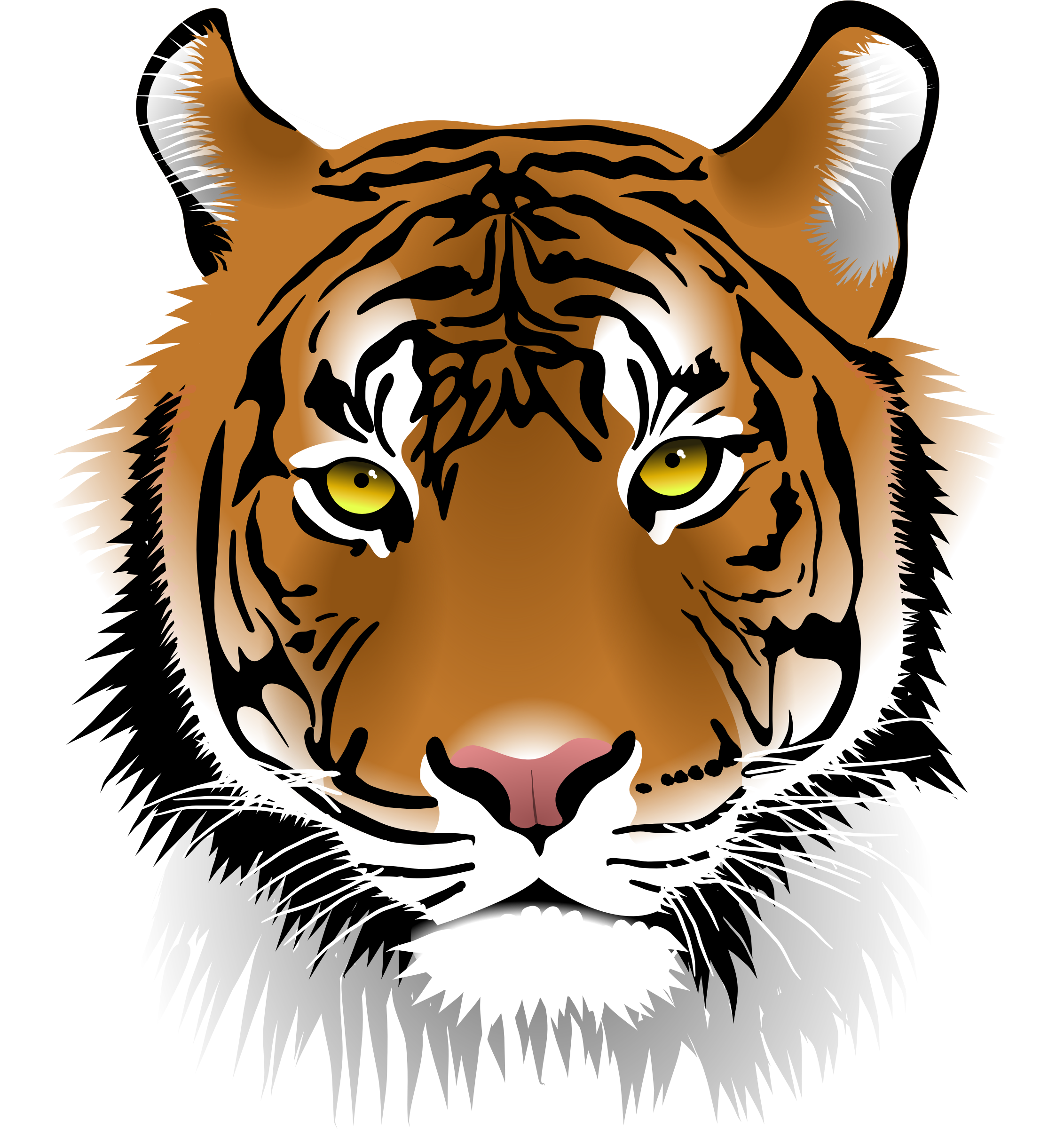 Tiger - Tiger Clip Art Free (754x800), Png Download