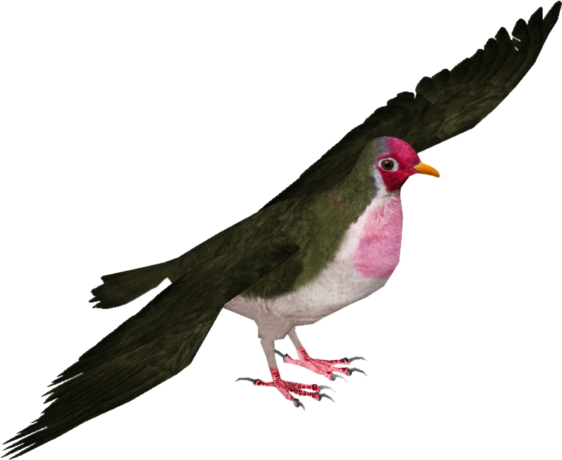 Jambu Fruit Dove - Common Gallinule (791x791), Png Download