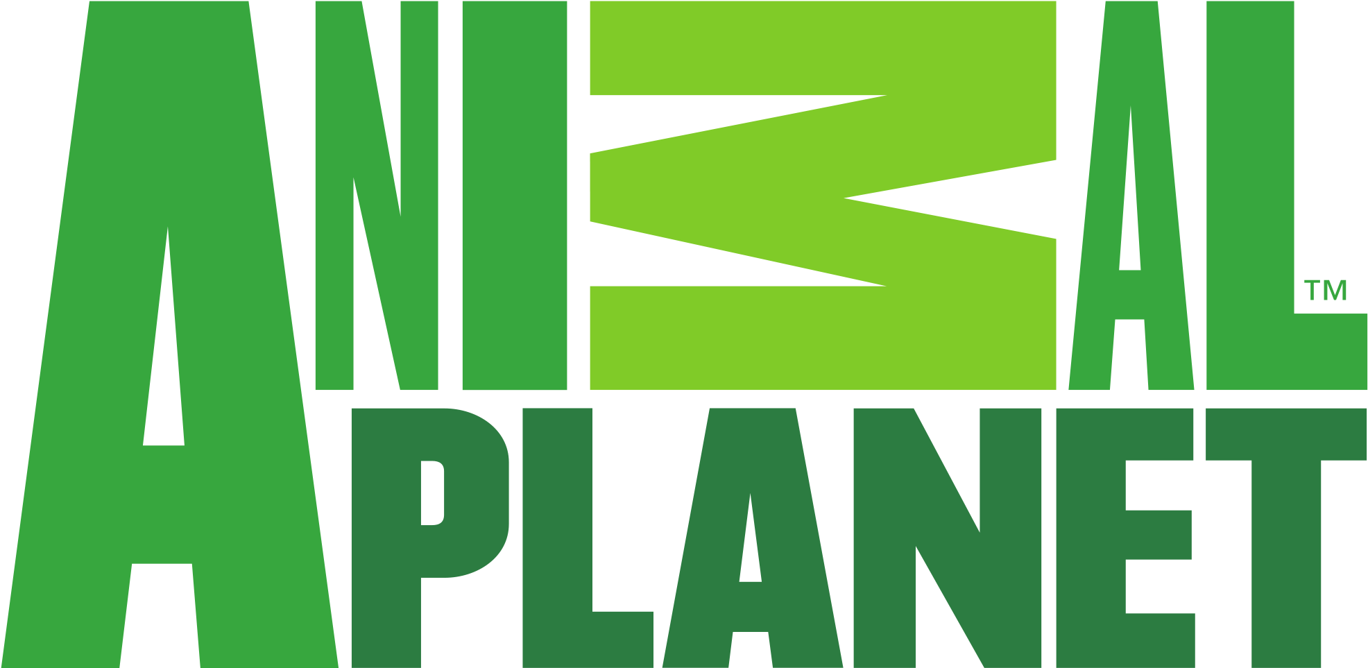 Animal Planet - Animal Planet Logo Png (2000x1067), Png Download