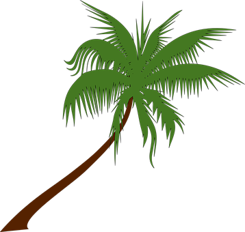Palm Tree Coconut Palm Tree Tropical Palm - Summer Coconut Tree Clip Art (358x340), Png Download