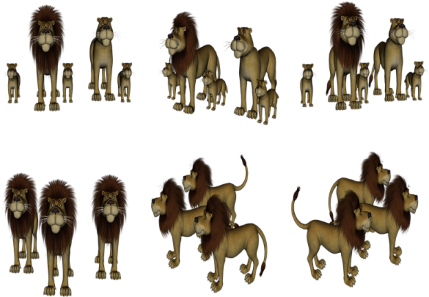 Lions And Familys, Lion, Model, Image Model Png And - Baboon (640x640), Png Download