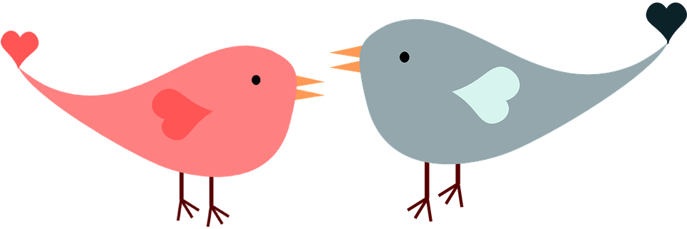 Love Birds Png - Transparent Background Love Birds Clipart Png (960x480), Png Download