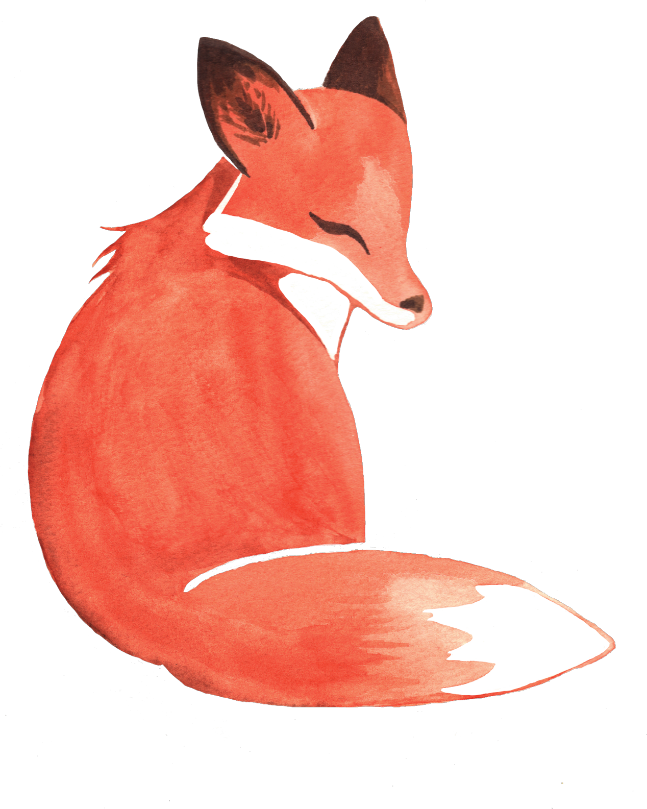 Weileash Watercolor Fox Available - Watercolor Fox (1280x1707), Png Download