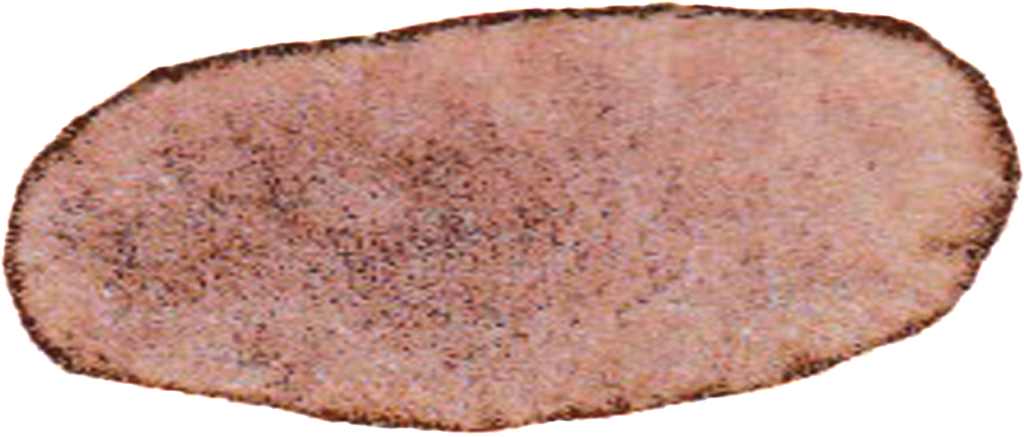 Brown Oval Hand Painted Watercolor Transparent Gourmet - Watercolor Painting (1024x437), Png Download