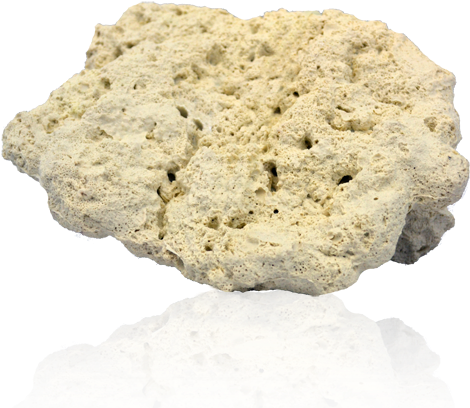 Coral Rock Png - Rock Coral Png (500x429), Png Download