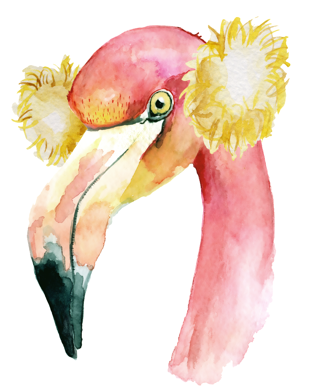 19258picuex 1024 X Oss Process=image/quality,q 70/watermark - Boho Flamingo Watercolor (1024x1321), Png Download
