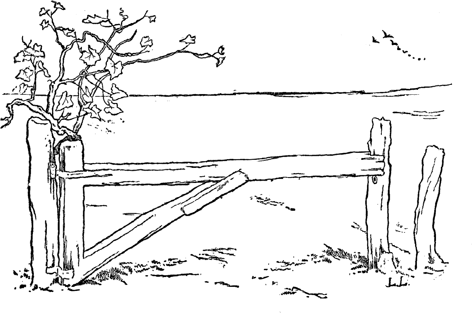 Digital Fence Clip Art - Line Art (1600x1092), Png Download