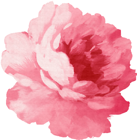 Shop From Unique Peony Stickers On Redbubble - Pink Flower Png (500x517), Png Download