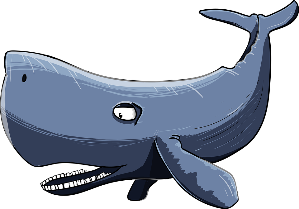 Sperm Whale Clipart Watercolor - Sperm Whale Cartoon (960x671), Png Download