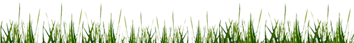 Download All The Soccer Grass Png, Vectors,clipart - Soccer Ball Grass Png (780x249), Png Download