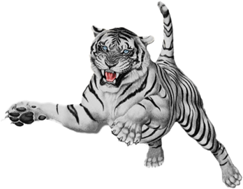 White-tiger - White Tiger Png (350x345), Png Download