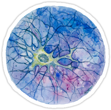 Neuron Art For All Bio-science Geeks Neuron Sticker - Watercolor Mitochondria (375x360), Png Download