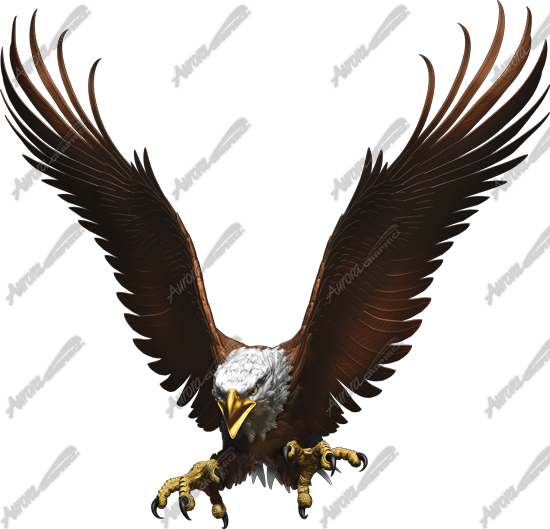 Download Go To Image Golden Eagle Transparent PNG Download SeekPNG