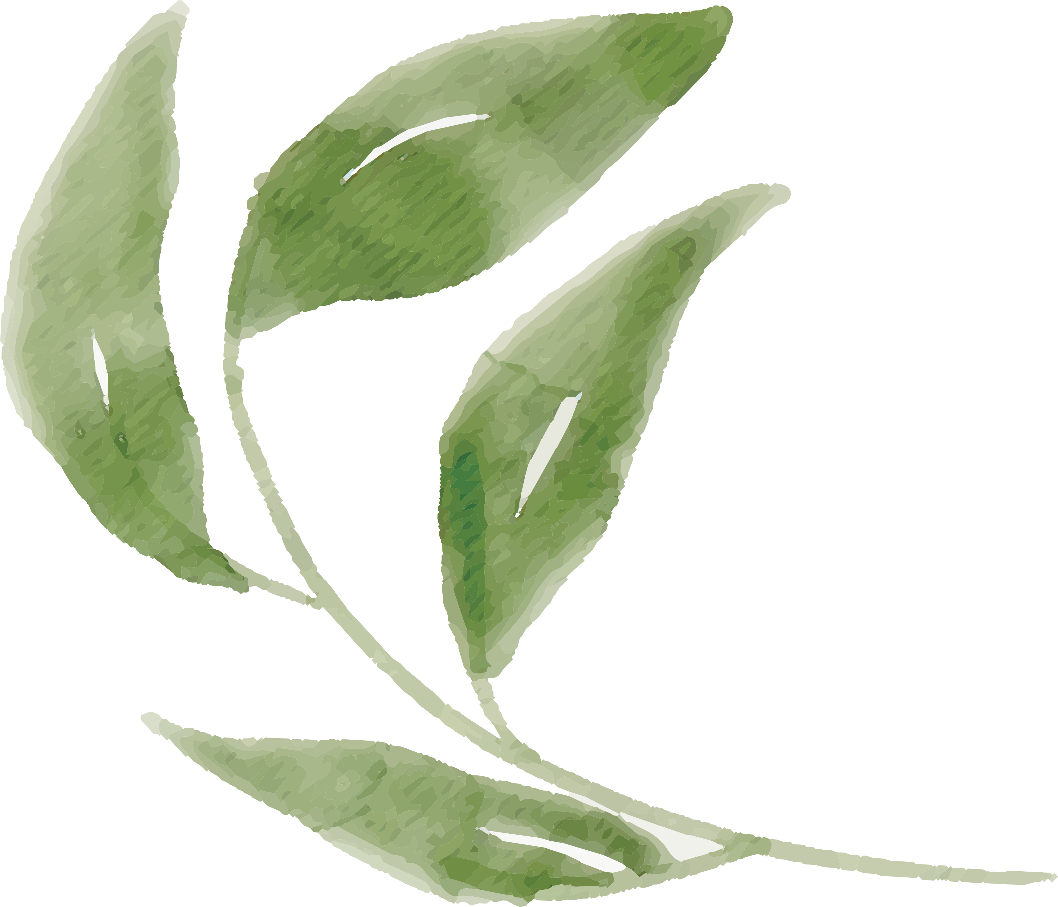 Free Watercolor Flower Images Peach Delight - Watercolor Painting (3600x3205), Png Download