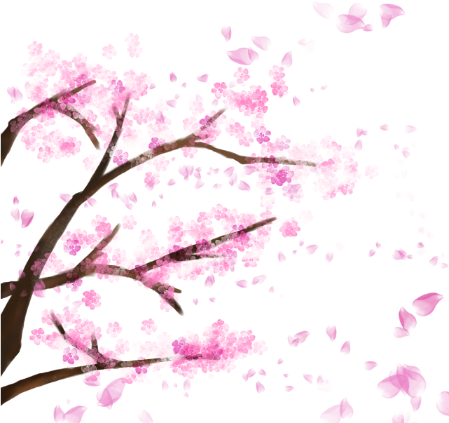 Blooming Cherry Tree, Cherry Blossom，sakura, Cherry, - Cherry Blossom Png Transparent (640x640), Png Download