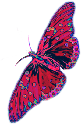 Swallowtail Butterfly (500x500), Png Download