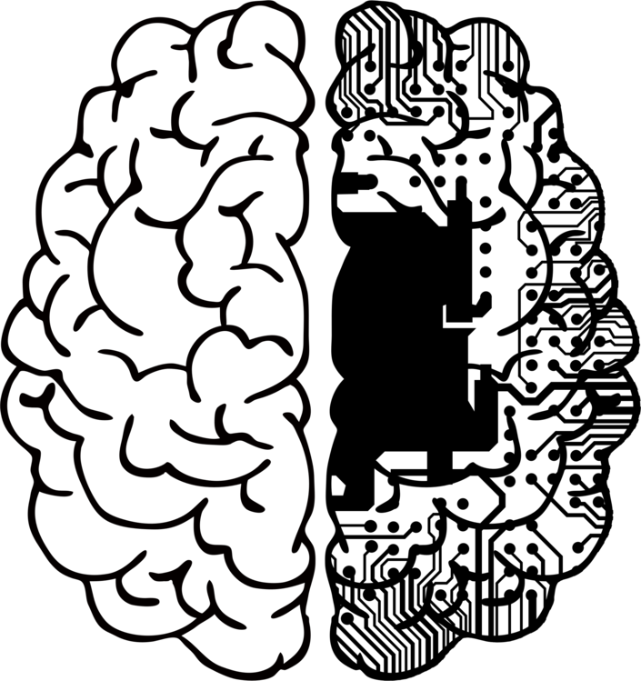 Line Art Human Brain Drawing - Cerebro Sopa De Letras (705x749), Png Download