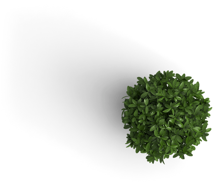 Plant - Plant Top View Png (750x640), Png Download
