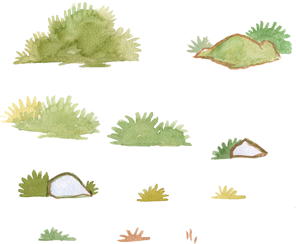 Drawing Bushes Water Colour - Watercolor Bushes Png (1024x1024), Png Download