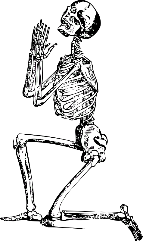 Skeleton Clip Art (475x800), Png Download