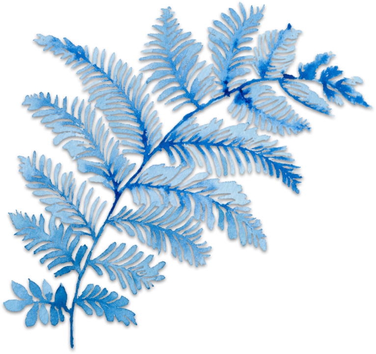 Ftestickers Art Watercolor Floral Branch Blue - Bts (1024x1024), Png Download