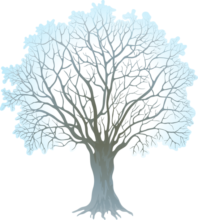 Clipart Winter Watercolor - Winter Tree Clipart Transparent Background (600x664), Png Download