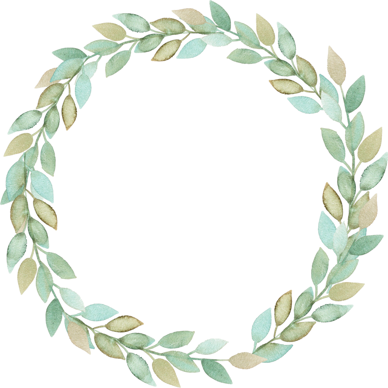 Фото, Автор ✿lili@ ✿ На Яндекс - Leaf (800x800), Png Download