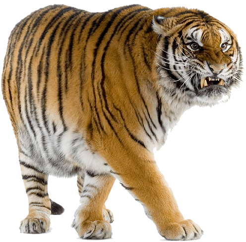 Download Download All To All Png Background Full Size Png Download Seekpng