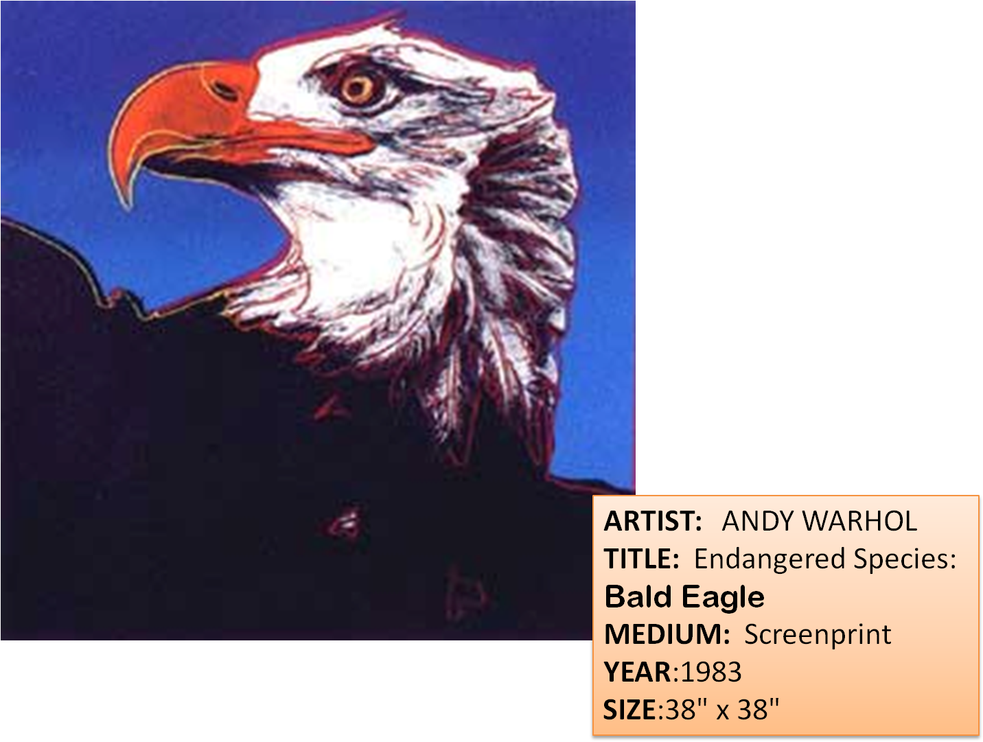 3rd Grade At Eagle Mountain Just Soared To New Heights - Bald Eagle Andy Warhol (1440x1083), Png Download