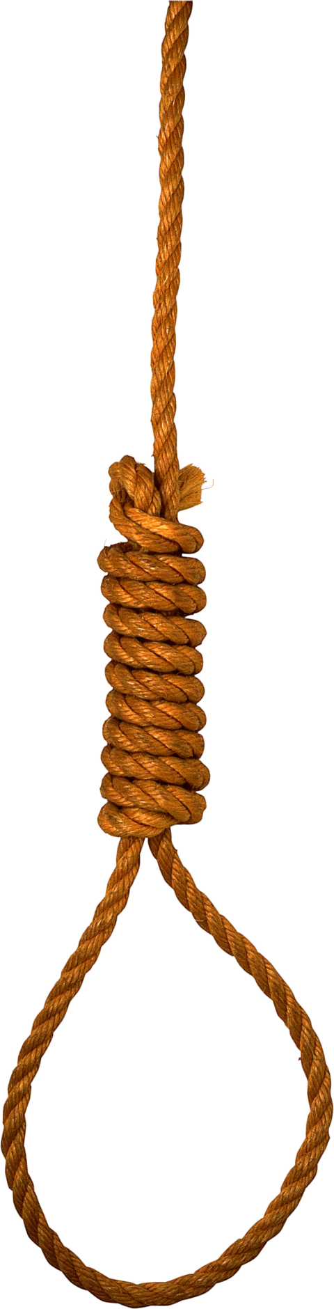 Free Png Rope Png Images Transparent - Петля Png (480x1880), Png Download