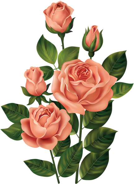 Flower Clipart, Rose Clipart, Top Flowers, Flower Crafts, - Flower Vintage Png Orange (444x600), Png Download