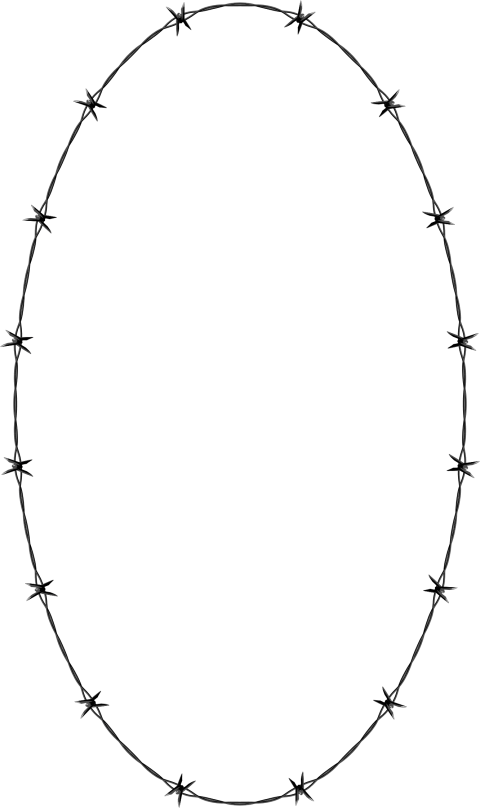 Barbwire Png Free Images Toppng Transparent - Barbed Wire Oval Clipart (480x808), Png Download