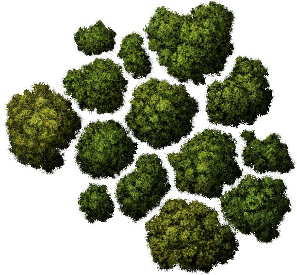 Tree Png Top View (623x573), Png Download