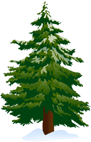 Watercolor Fir-trees Clipart Commercial Use Christmas - Clip Art Pine Tree (330x486), Png Download