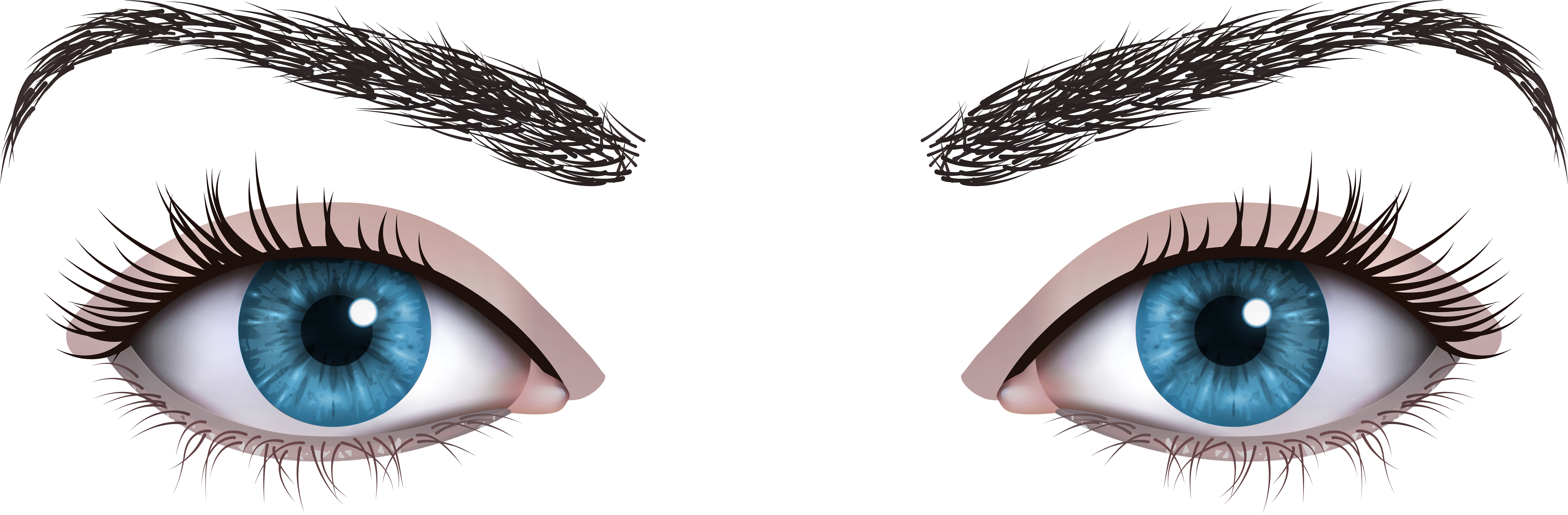 Blue Female Eyes Png Clipart - Cílios E Sobrancelha Png (8000x2746), Png Download