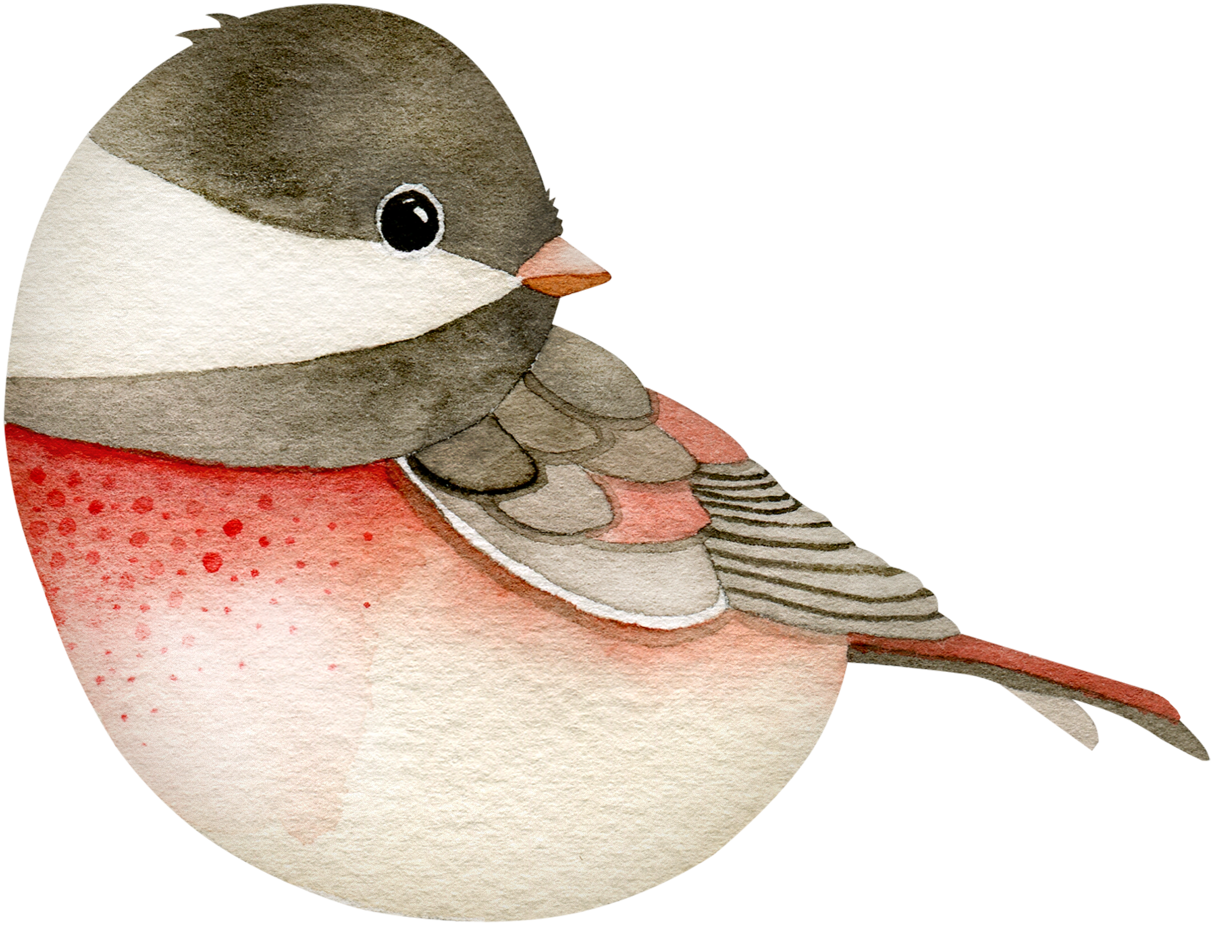 Яндекс - Фотки - Portable Network Graphics (1214x926), Png Download