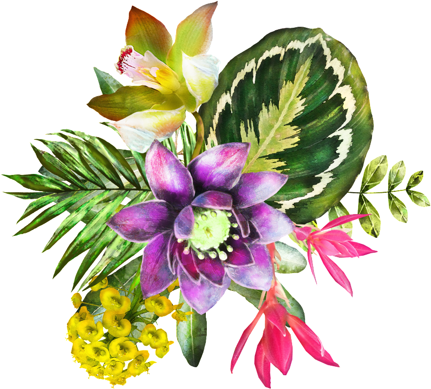 Watercolor Painted Flowers And Plants Png Transparent - Portable Network Graphics (1024x884), Png Download