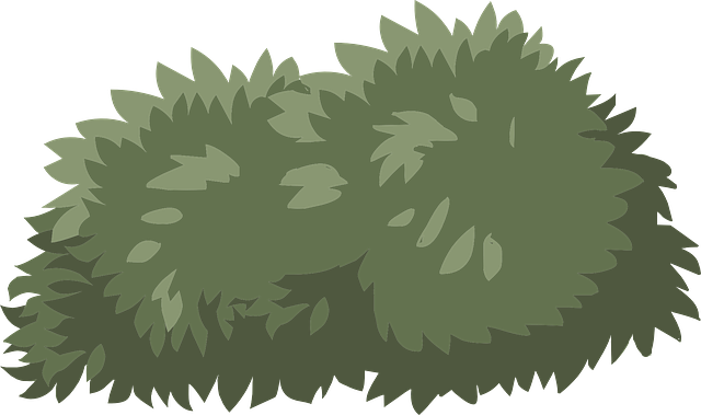 Free Image On Pixabay - Clip Art Bushes (640x379), Png Download
