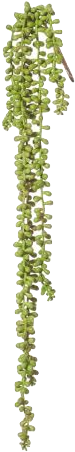 Hanging Plants Png - Hanging Plant Png (460x460), Png Download