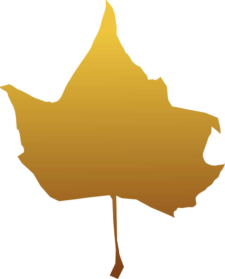 Maple Leaf Drawing Watercolor Painting Download - Clip Art (606x750), Png Download