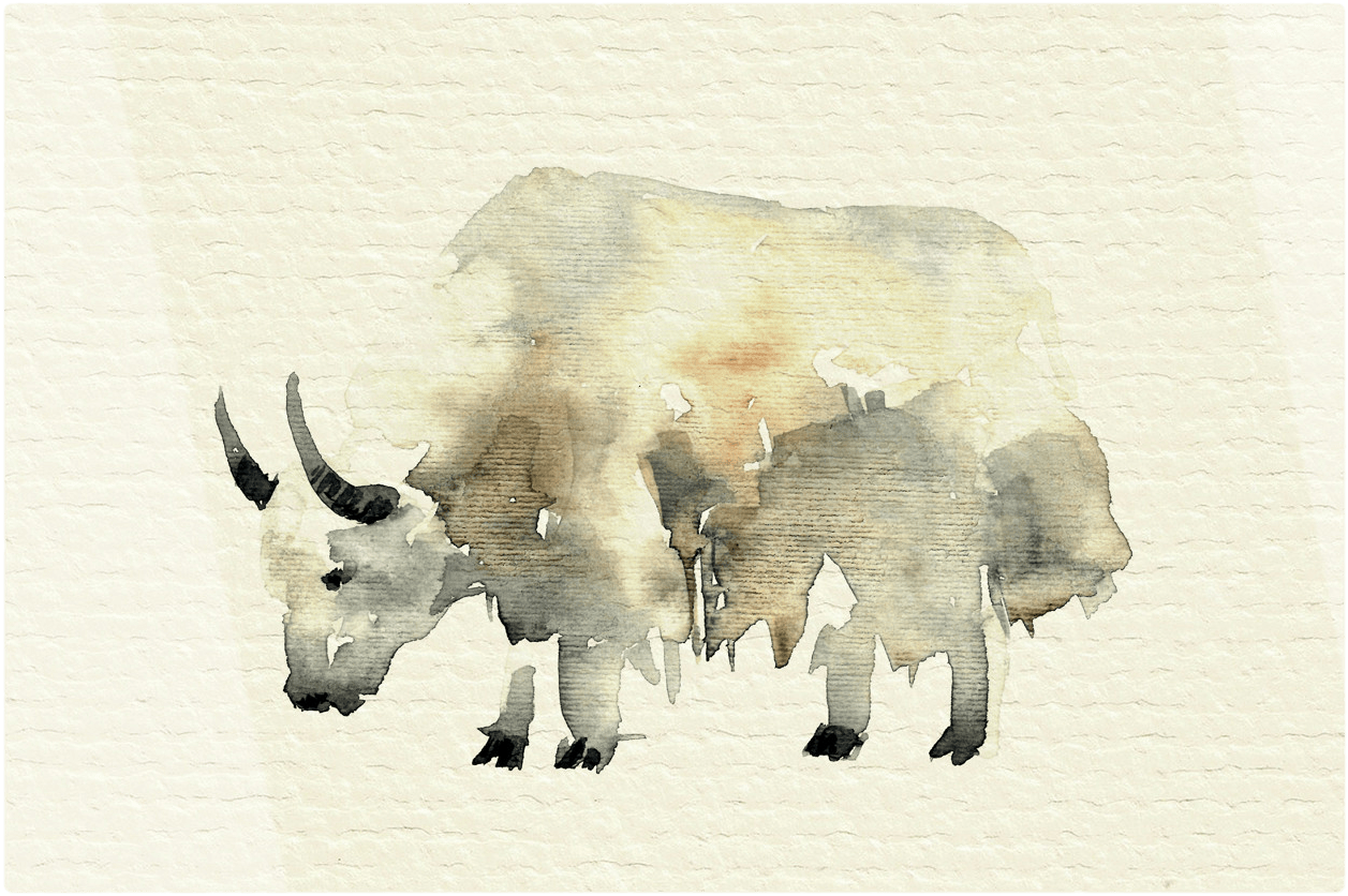 The Safari Print - Stock Illustration (2000x1036), Png Download