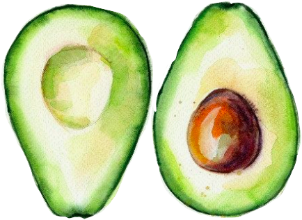 Avo - Avocado (484x352), Png Download