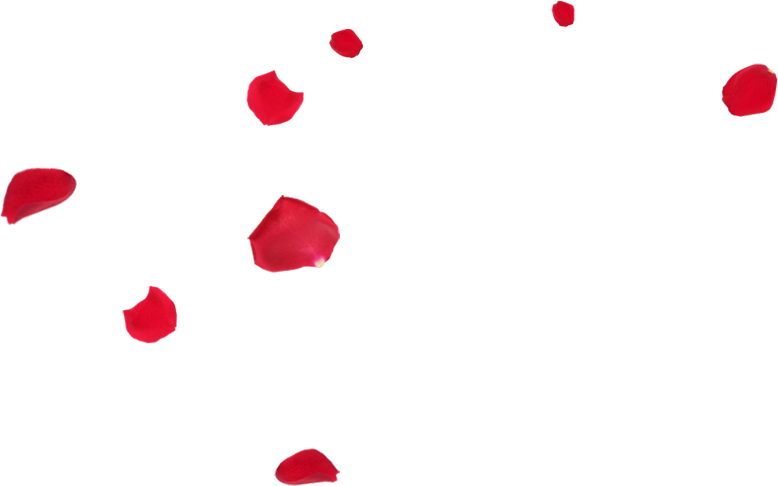 Roses, Rose Petals, Big File, Store Jesus Richmond - Petals Png (778x486), Png Download