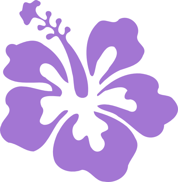 Clipart Flower Border - Hibiscus Clip Art (588x600), Png Download