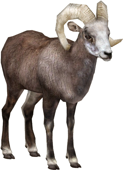 Snow Sheep - Goat (545x545), Png Download