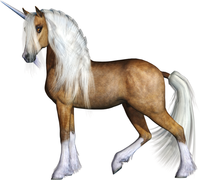 Unicorn (1024x768), Png Download