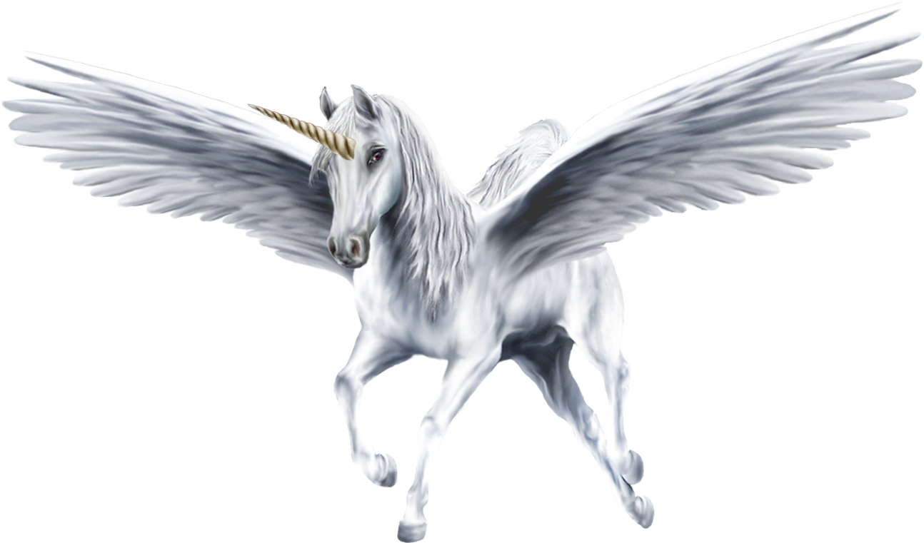 An Beautiful White Winged Unicorn Unicorns 39364232 - Pegasus Png (1300x931), Png Download