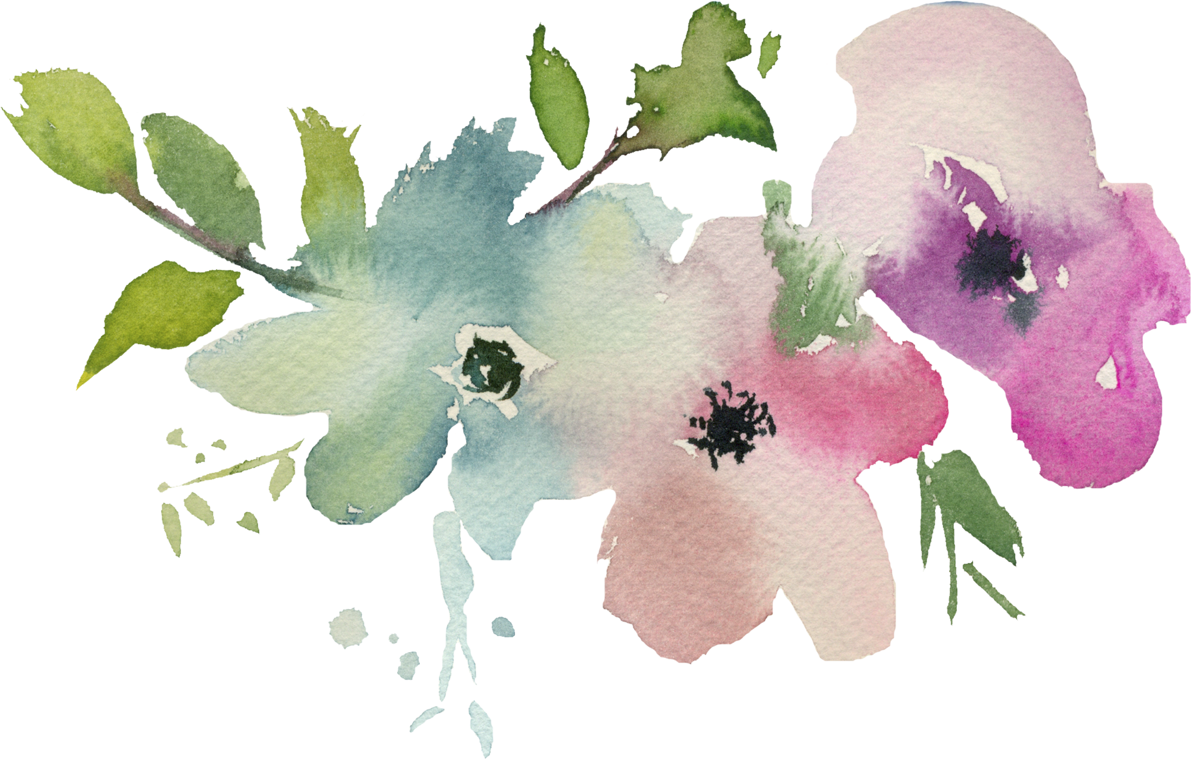 Some Facts About Me - Rosa Canina (2400x1800), Png Download