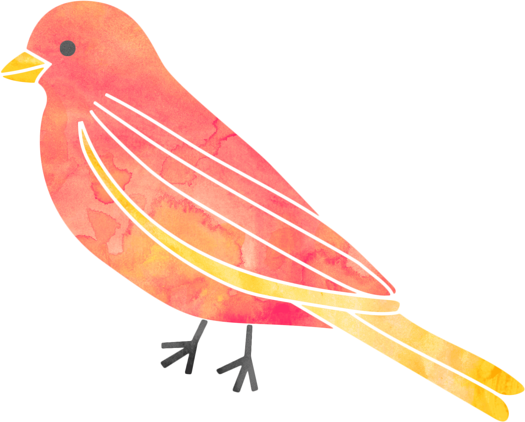 Carlene Is The Best We Waited 5 Months, I Think, To - Canary (1696x1363), Png Download