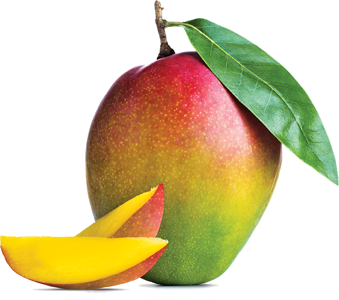 Mango Png (692x612), Png Download